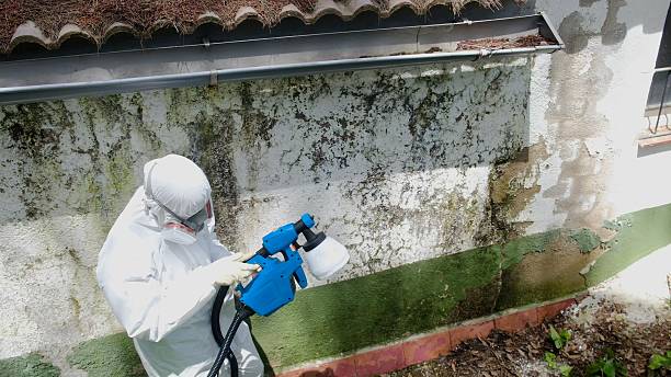 Top rated local Mold Remediation specialists in Myerstown, PA